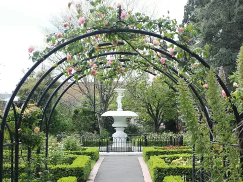 Arceaux de fer noir couverts de roses roses au-dessus d'une allée de buis menant à une fontaine blanche