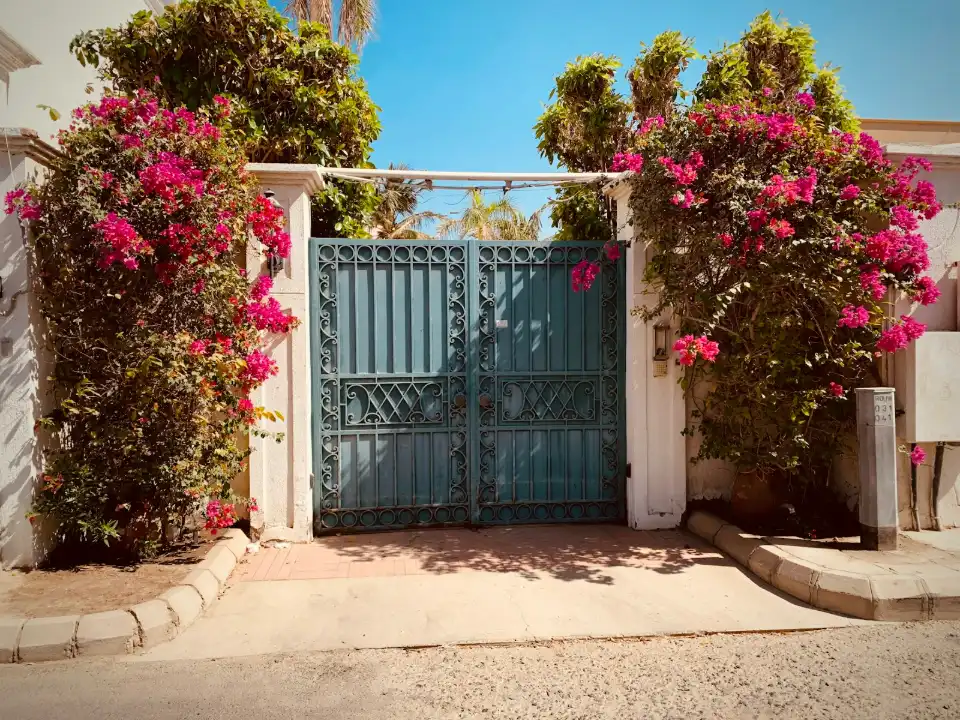Portail battant en fer bleu Ã  volutes entre deux piliers blancs et des bougainvilliers en fleurs